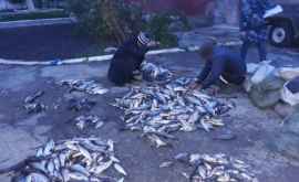 Задержаны нарушители промышлявшие незаконной рыбалкой