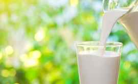 Молоко против обезвоживания лучше воды ученые