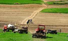 În Moldova va începe un program pentru combaterea degradării terenurilor agricole
