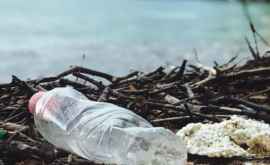 Не тысячу лет ученые опровергли миф о разложении пластика