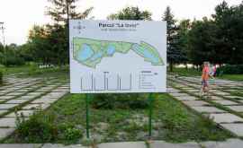 În Parcul La Izvor va fi construit un veceu public Cînd vor începe lucrările
