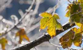 Schimbare bruscă a vremii în Moldova Vin ploi și frig