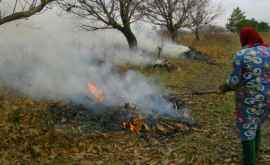  Любителей сжигать опавшие листья ждут крупные штрафы