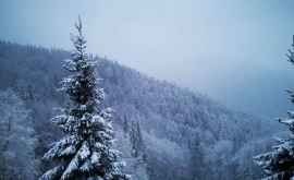 În România a venit iarna Locul în care ninge ca în povești FOTO