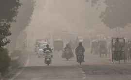 Загрязнение воздуха вынудило власти Индии прибегнуть к эсктремальным мерам