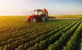 США выделят гранты для студентов молдавского сельхозуниверситета 