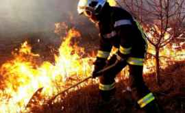 В Унгенском районе сгорели 100 га сухой растительности