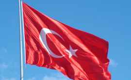 Турция будет выдворять иностранных террористов 