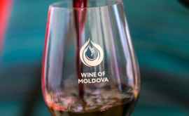 Экспорт молдавских вин достиг самого высокого уровня за последние 5 лет