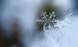 На севере Молдовы выпал первый снег 
