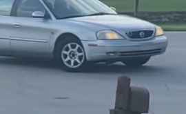 Un cîine a trecut mașina în marșarier și sa învîrtit în cerc aproape o oră VIDEO