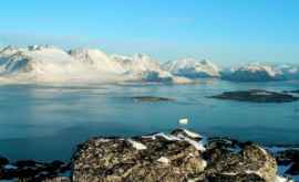 Исследование с 1990х годов льды Гренландии начали таять в семь раз быстрее