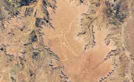 Спутник NASA заснял таинственный рисунок на плато в Австралии