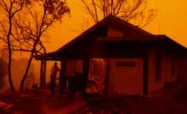 Австралиец уверен что его дом выстоит против пожаров Что последовало