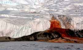 В Антарктиде обнаружен кровоточащий ледник