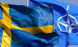Шведскому офицеру удалось подделать резюме чтобы попасть на работу в НАТО