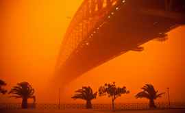 После пожаров на Австралию обрушились песчаные бури и град ВИДЕО