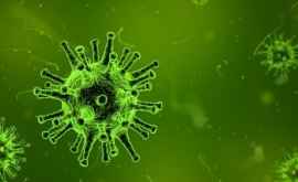 Sa aflat care e posibila sursa a noului virus mortal din China