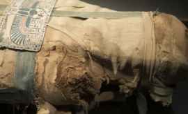 Ученым удалось воспроизвести голос тысячелетней мумии