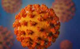 Coronavirus În Germania a fost confirmat primul caz de îmbolnăvire