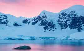 Temperatură record în Antarctica