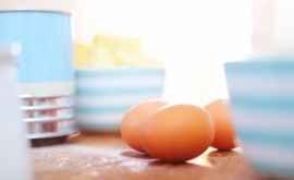 Au fost create primele ouă vegane