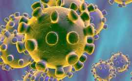 Эпидемиолог коронавирус может поразить 60 населения планеты