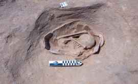 Descoperire uimitoare în Egipt Ce au găsit arheologii 