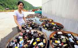 Жители Японии научились перерабатывать и утилизировать 90 своих отходов