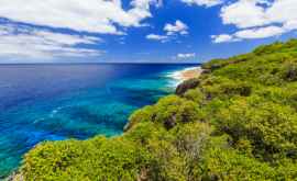 Insula Niue a devenit prima țară a cerului întunecat 