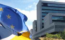 Europol a confiscat 44 milioane de medicamente falsificate împotriva COVID19