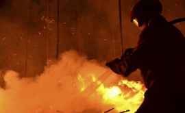 Incendiu la Strășeni A ars gunoiștea VIDEO