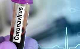 В Молдову доставили более 8 000 тестов на обнаружение коронавируса