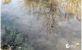 Пандемия способствует очищению воды в реке Бык ФОТО