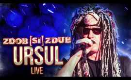 Zdob și Zdub выпустили концертное видео Ursul на песню из альбома Bestiarium 