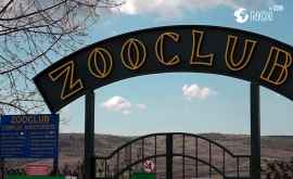 Ce fac viețuitoarele de la ZooClub Bardar pe timp de carantină VIDEO