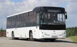 Одобрен первый автобусный рейс для возвращения граждан Молдовы из Беларуси