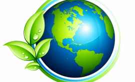Ecology и Ecodava приняли участие в международной акции Мой День Земли ВИДЕО