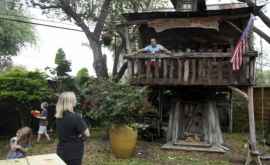 Un medic din Texas sa autoizolat în casa din copac a familiei