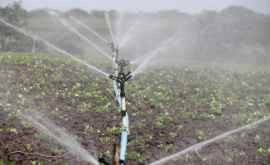 Producătorii agricoli vor obține mai ușor acces la apele de suprafață pentru irigarea terenurilor