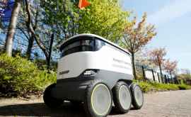 Роботы доставляют покупки в британский город на карантине