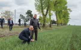 Dodon Moldova va depune toate eforturile pentru a sprijini agricultura