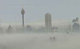 На Сидней опустился невероятно густой туман ВИДЕО