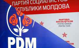 ДПМ потребует срочного созыва Совета правящей коалиции