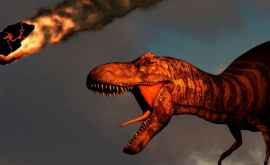 Астероид убивший динозавров летел по самой опасной траектории