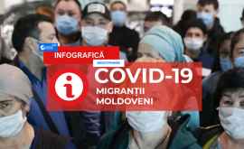 Migranții moldoveni în condiții de COVID19 Întrebări și răspunsuri