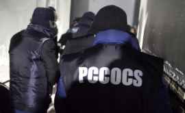 Грабители международного уровня задержаны в Молдове