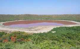 Un lac vechi din India a devenit roz peste noapte