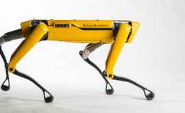 Cîinelerobot de la Boston Dynamics a fost scos pentru prima dată în vînzare directă