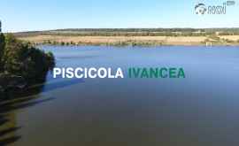 Piscicola Ivancea petrece timpul liber și frumos în Moldova FOTO VIDEO